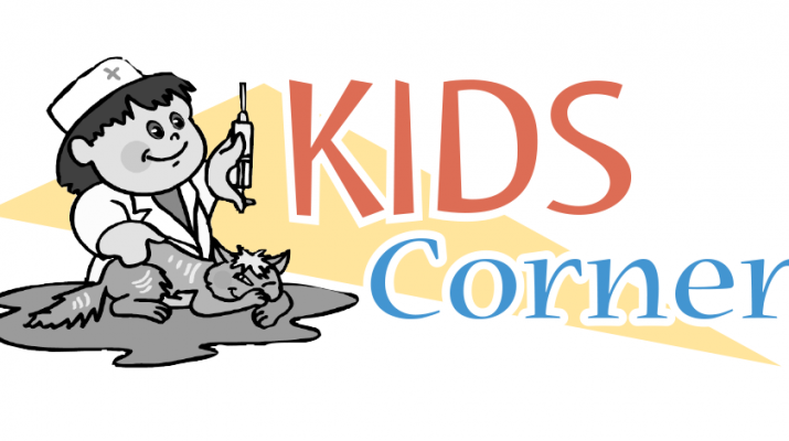 Kids Corner