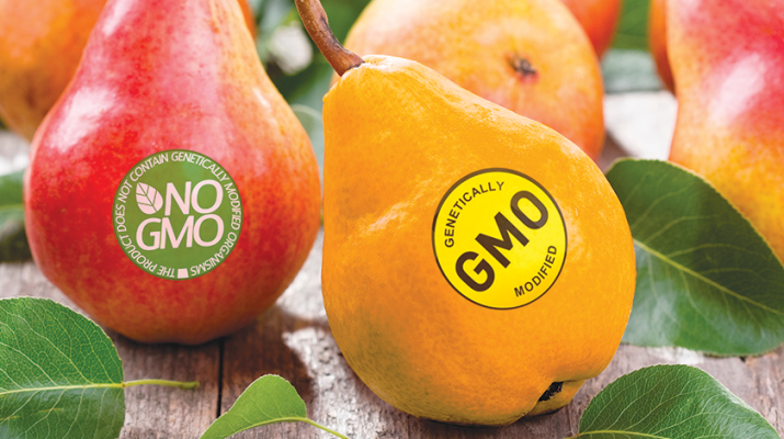 GMO food