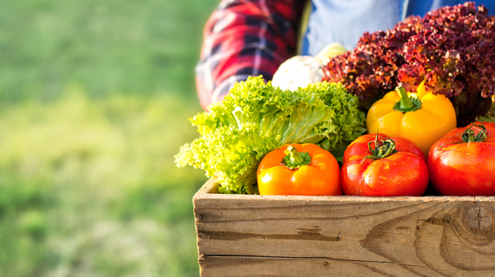 Farmer's market