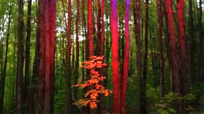 Night Lights at Griffis Sculpture Park, 6902 Mill Valley Road, East Otto. This 400-acre park near Ellicottville is home to over 250 sculptures — many of which you can climb up, in and on. It is one of the largest outdoor sculpture parks in the U.S.