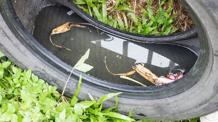 Used tires potentially store stagnant water which become breeding ground for mosquitoes.