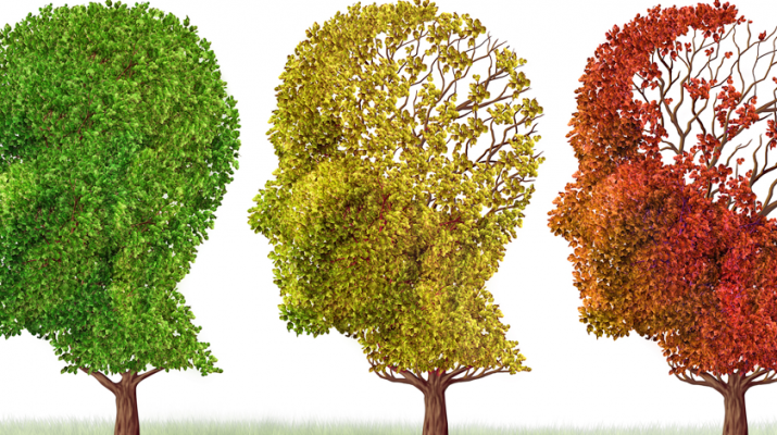 Alzheimer's vs Dementia