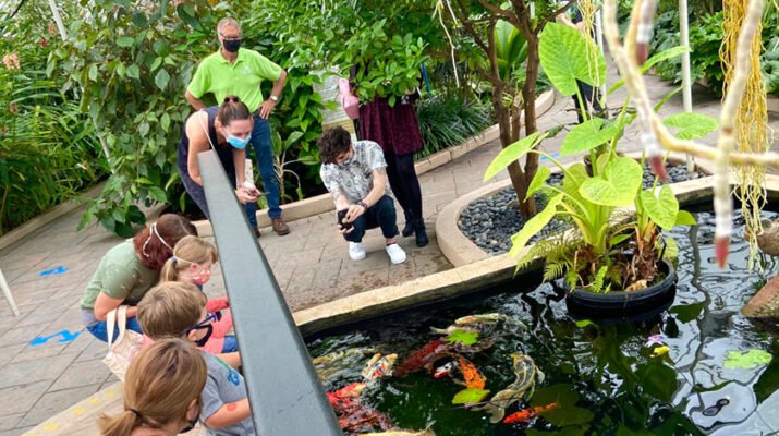 Photos of the Buffalo and Erie County Botanical Gardens courtesy of Ben Read.