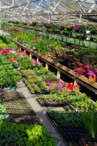 Botanical-Gardens